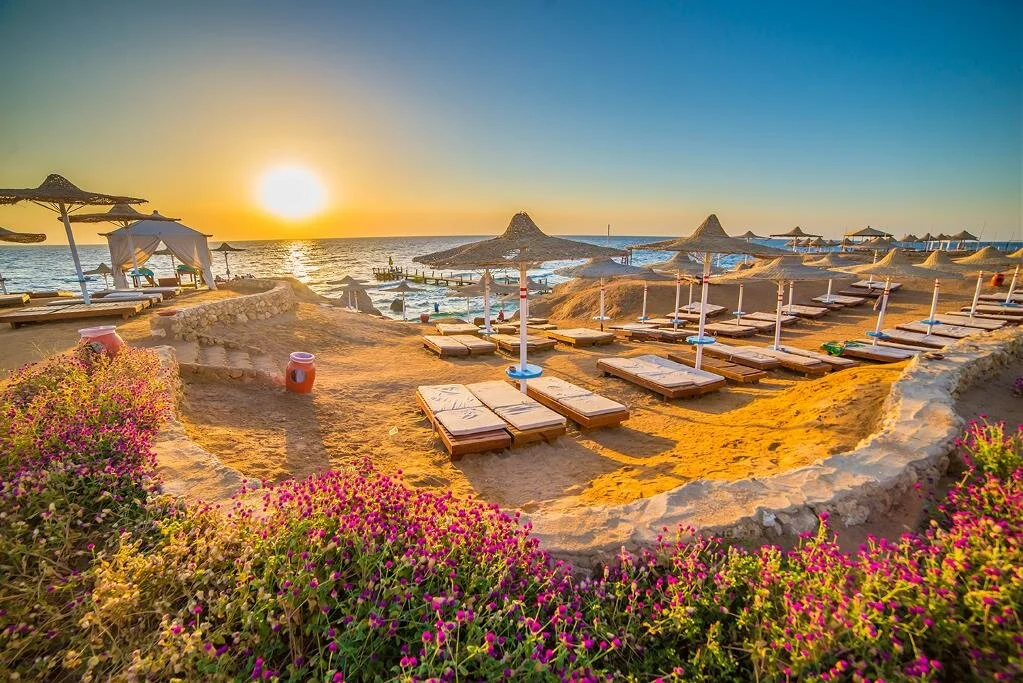 Sharm El Sheikh Turu Pegasus Hava Yolları ile 4 Gece