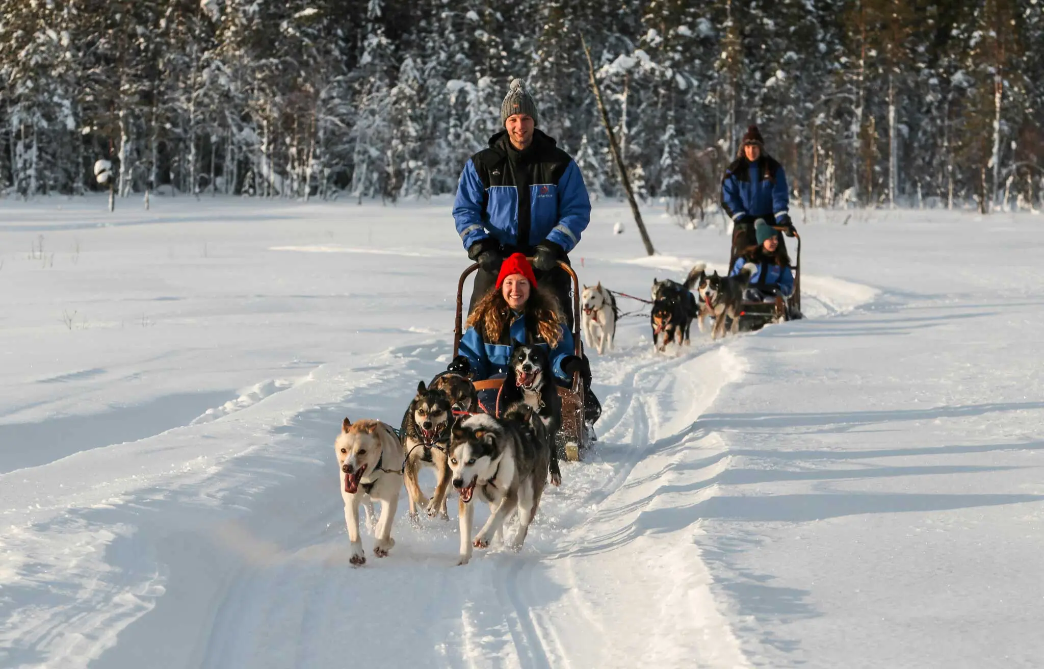 Lapland Kuzey Işıkları Turu