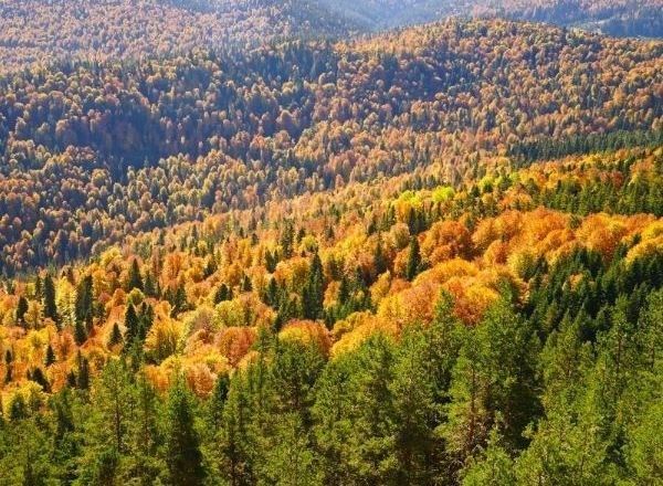 Kastamonu Kanyonlar Safranbolu ve Zonguldak Turu 1 Gece